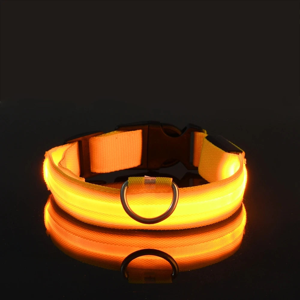 LED Night-Safety Dog Leash