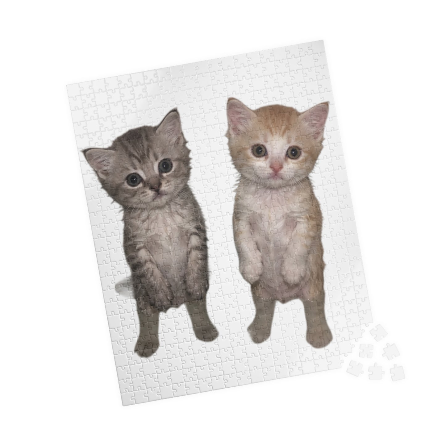 Duo  Cute Kittens Jigsaw Puzzle