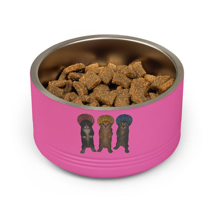 Cute Kittens in Bonnets Trio Pet Bowl Stainless Steel (18oz)