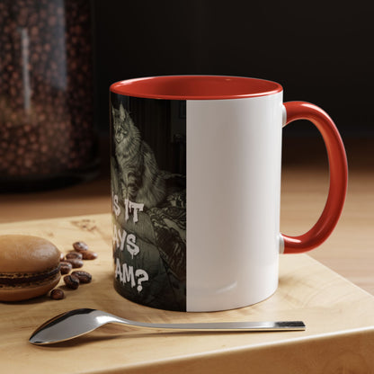 Why Is It Always at 2 AM? Cat Nighttime Humor Accent Coffee Mug