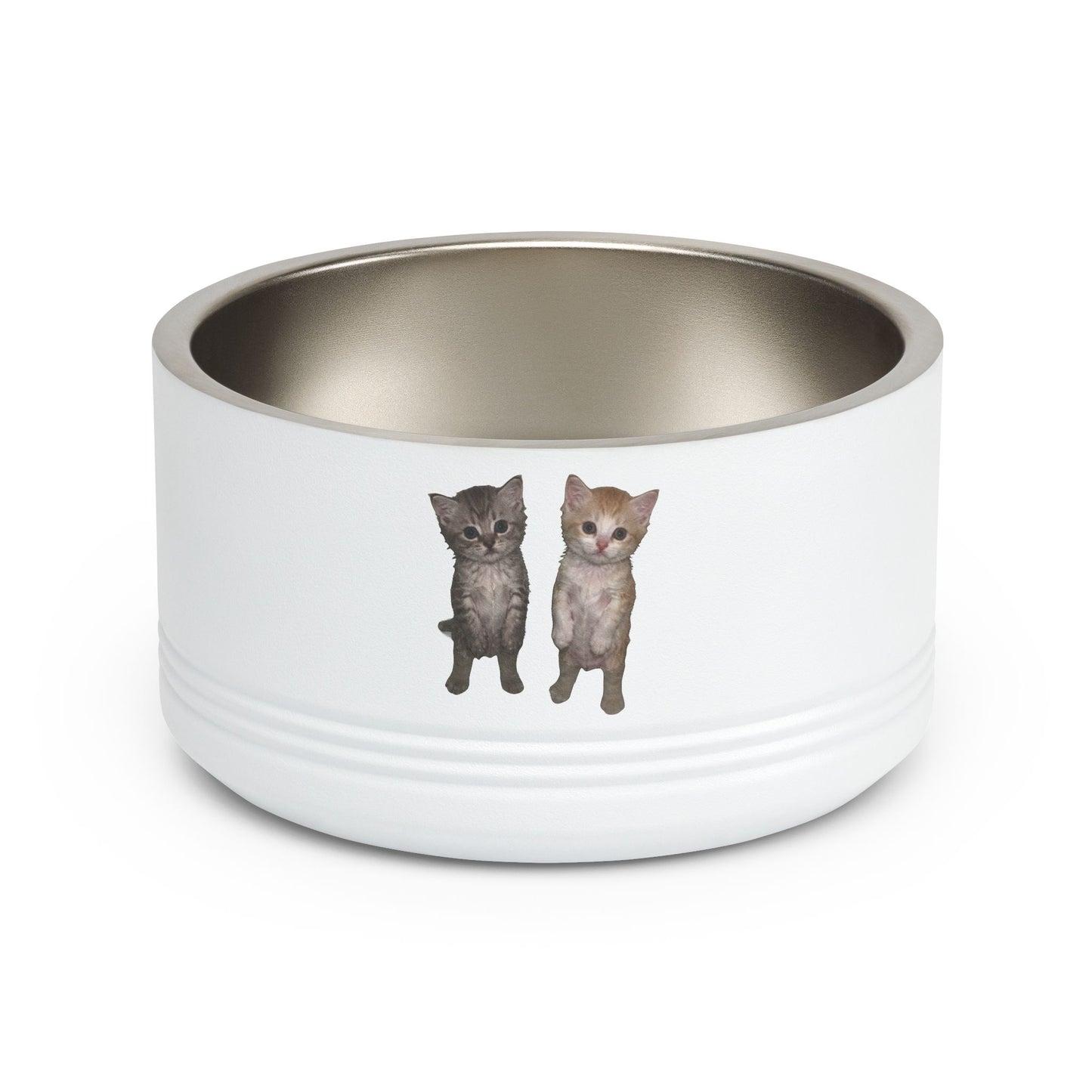 Duo Cute Cat Stainless Steel Pet Bowl — 18 oz