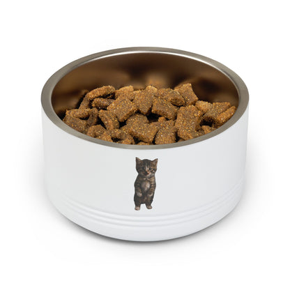 Cute Standing Kitten Stainless Steel Pet Bowl  18oz