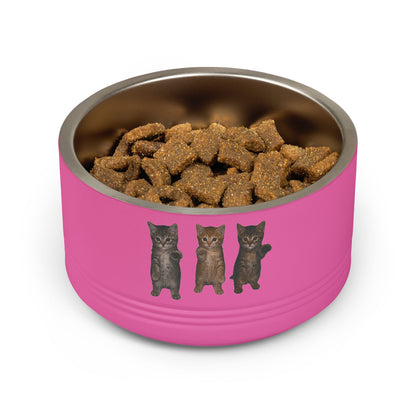 Cute Standing Trio Kittens Dancing Stainless Steel Pet Bowl  18 oz