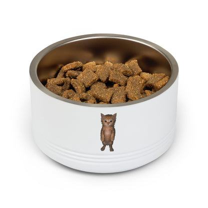 Cute Standing Kitten Stainless Steel Pet Bowl — 18 oz Cat Food & Water Dish
