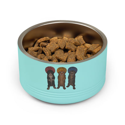 Cute Kittens in Bonnets Trio Pet Bowl Stainless Steel (18oz)