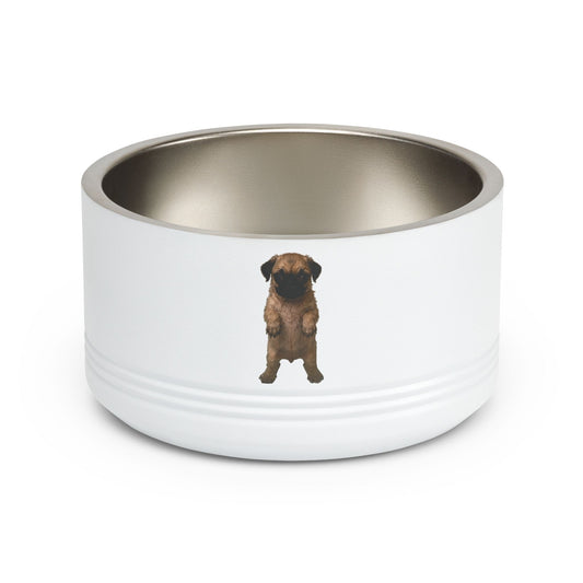 Pug Puppy   Stainless Steel  Pet Bowl  18oz