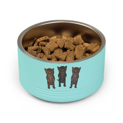 Cute Standing Kittens Trio Stainless Pet Bowl  18oz