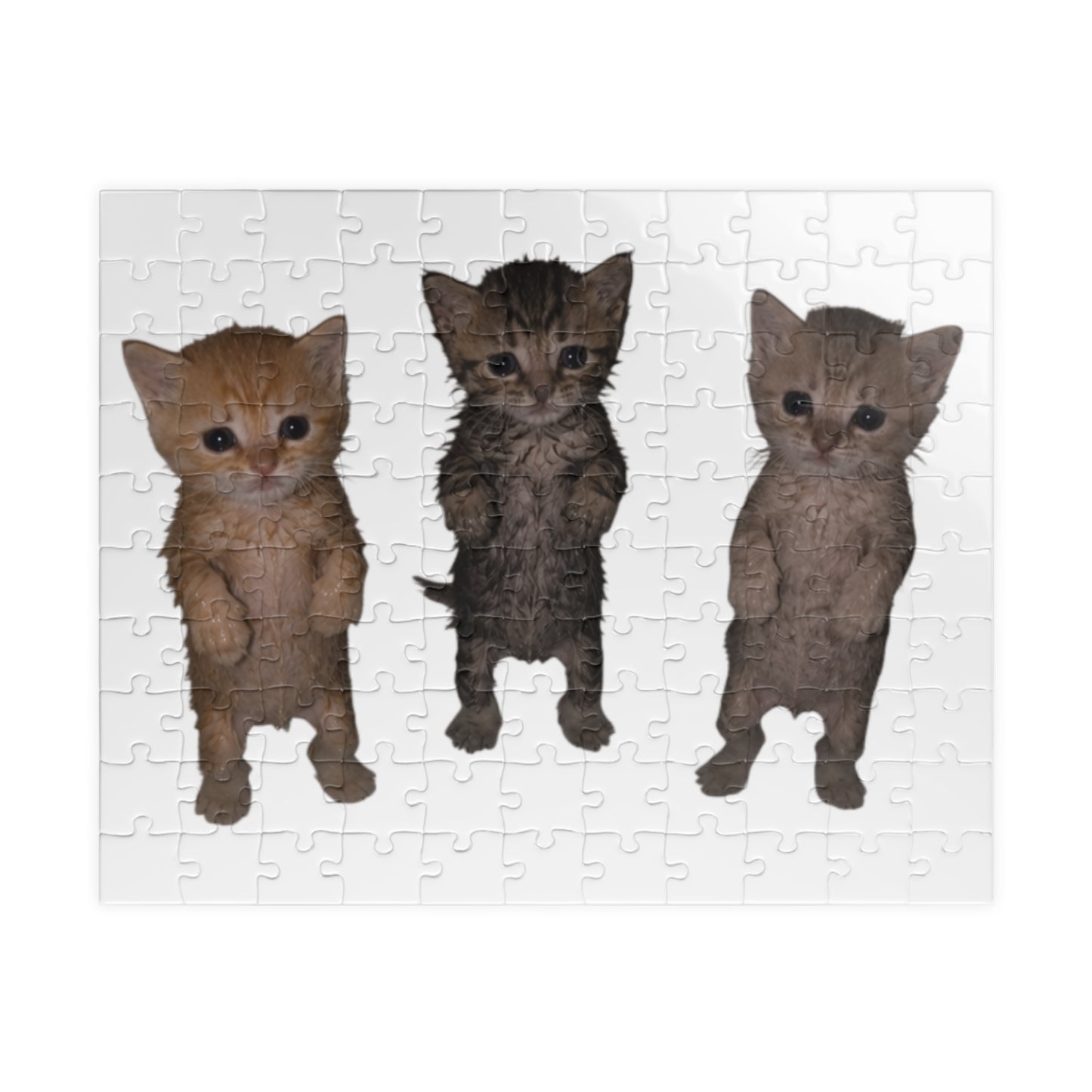 Cute Trio  Kittens Jigsaw Puzzle