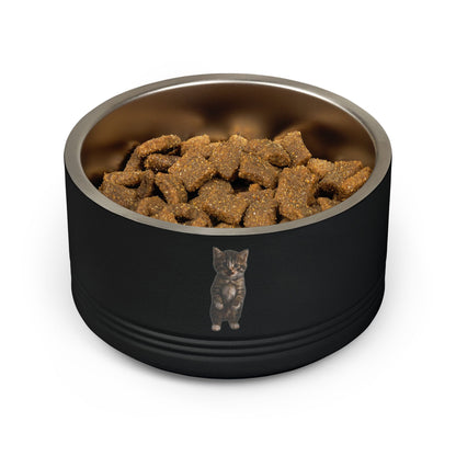 Cute Standing Kitten Stainless Steel Pet Bowl  18oz