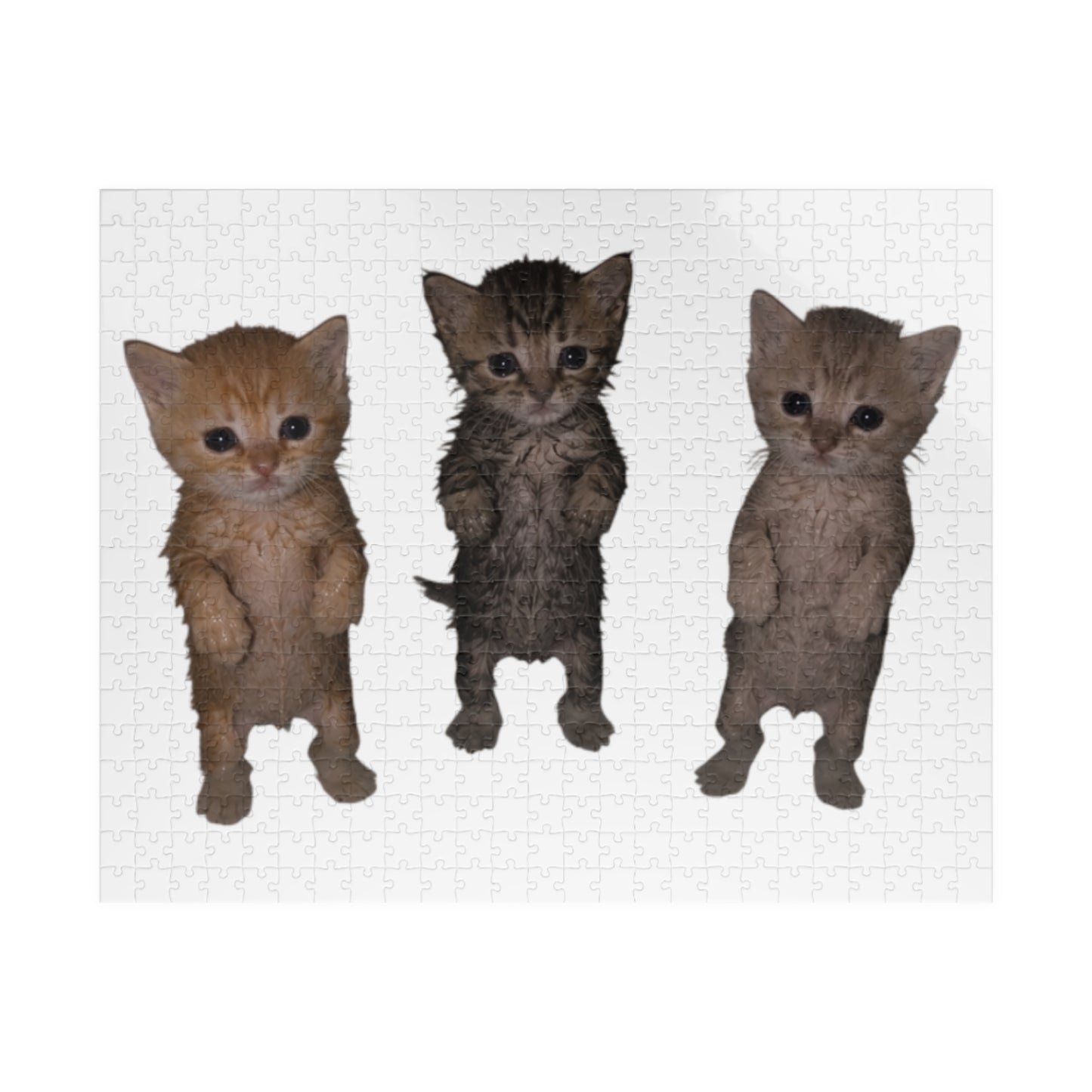 Cute Trio  Kittens Jigsaw Puzzle