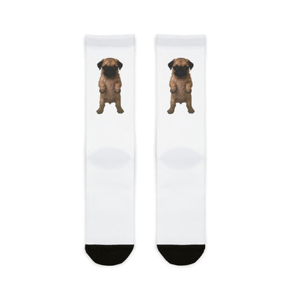 Pug Puppy  Crew Socks