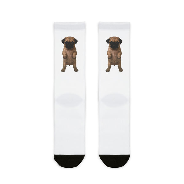 Pug Puppy  Crew Socks