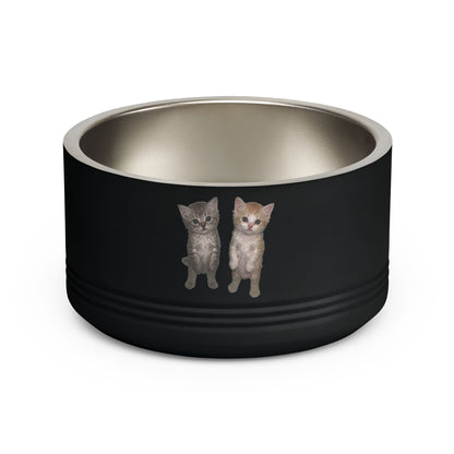 Duo Cute Cat Stainless Steel Pet Bowl — 18 oz