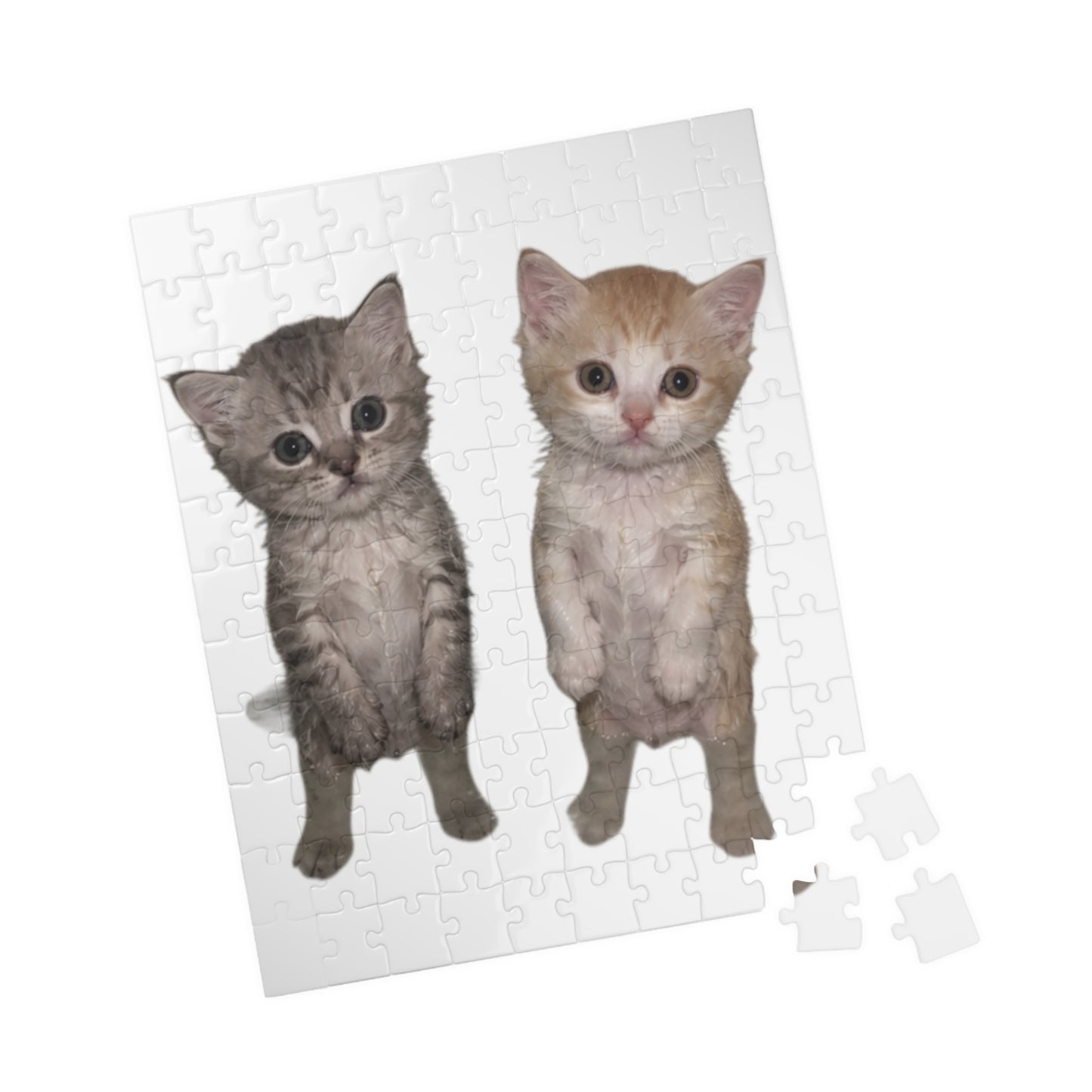 Duo  Cute Kittens Jigsaw Puzzle