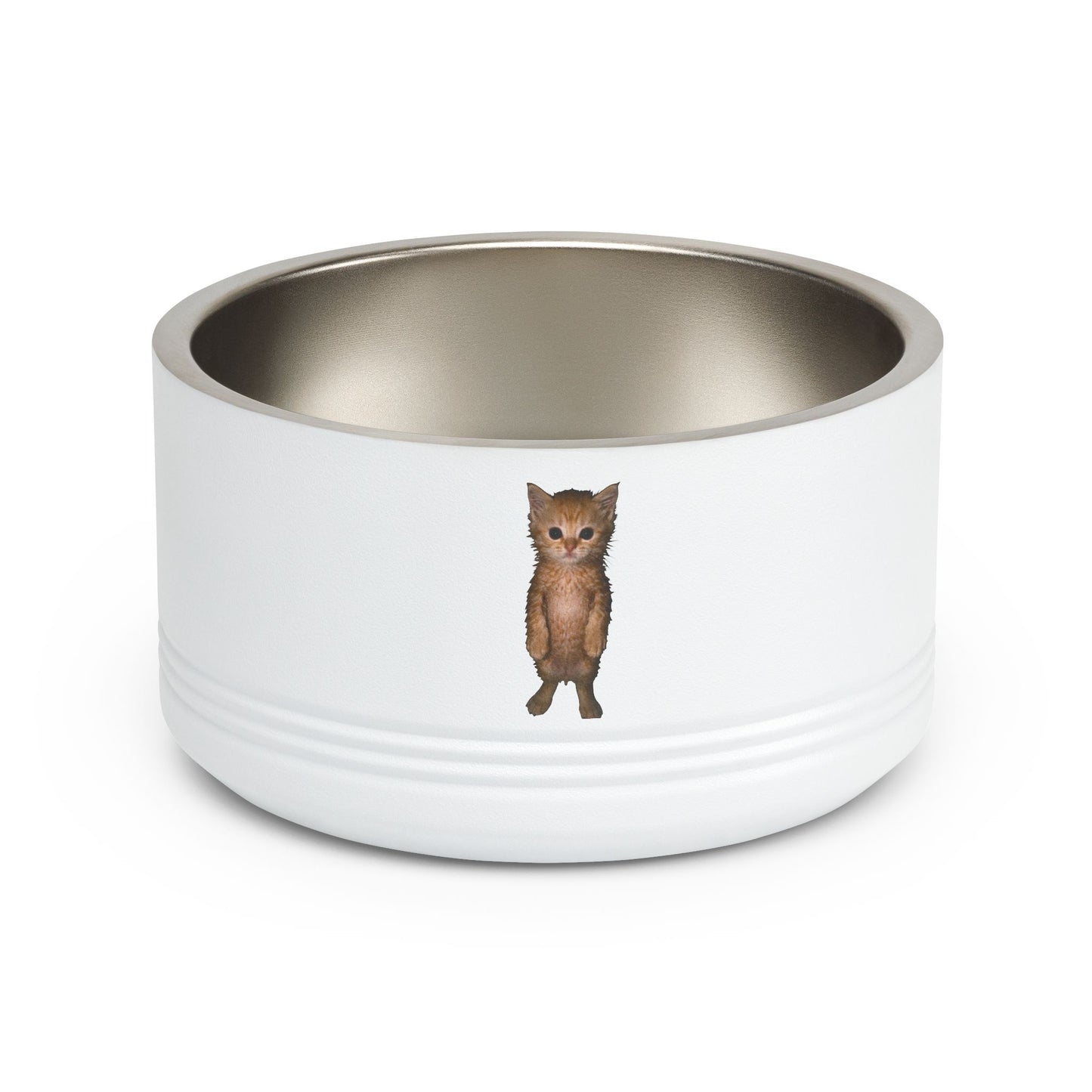 Cute Standing Kitten Stainless Steel Pet Bowl — 18 oz Cat Food & Water Dish