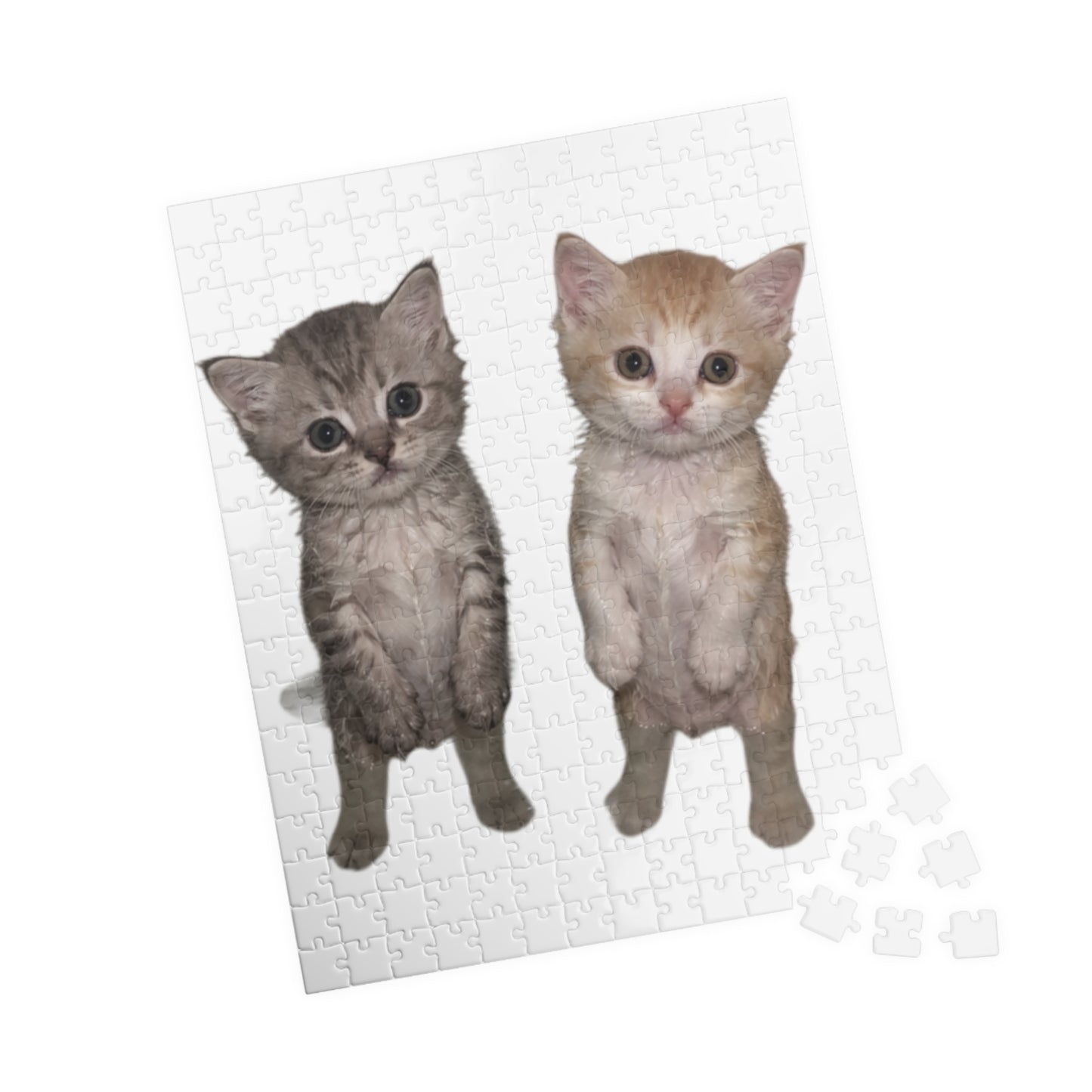 Duo  Cute Kittens Jigsaw Puzzle