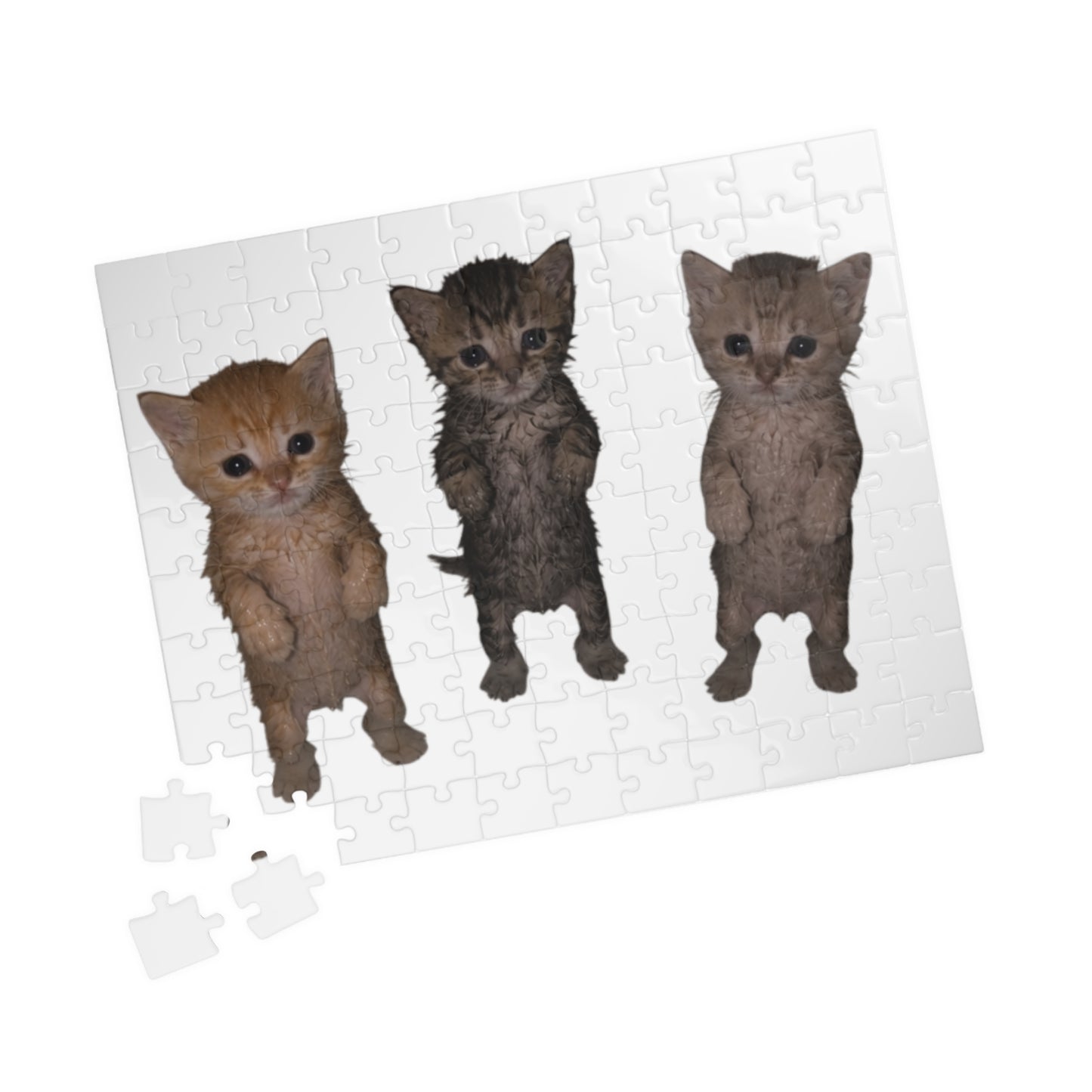 Cute Trio  Kittens Jigsaw Puzzle