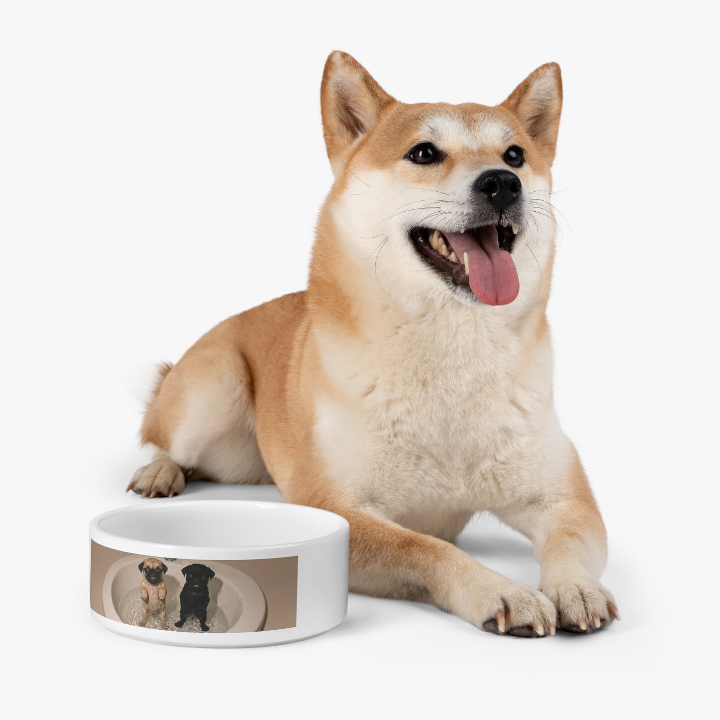 Personalized Pet Bowl — Photo Dog Water & Food Dish