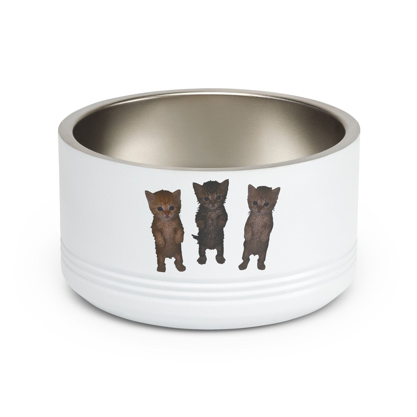 Cute Standing Kittens Trio Stainless Pet Bowl  18oz