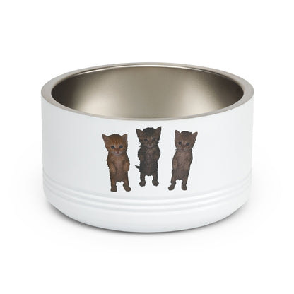 Cute Standing Kittens Trio Stainless Pet Bowl  18oz
