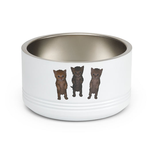 Cute Standing Kittens Trio Stainless Pet Bowl  18oz