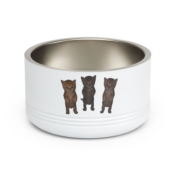 Cute Standing Kittens Trio Stainless Pet Bowl  18oz