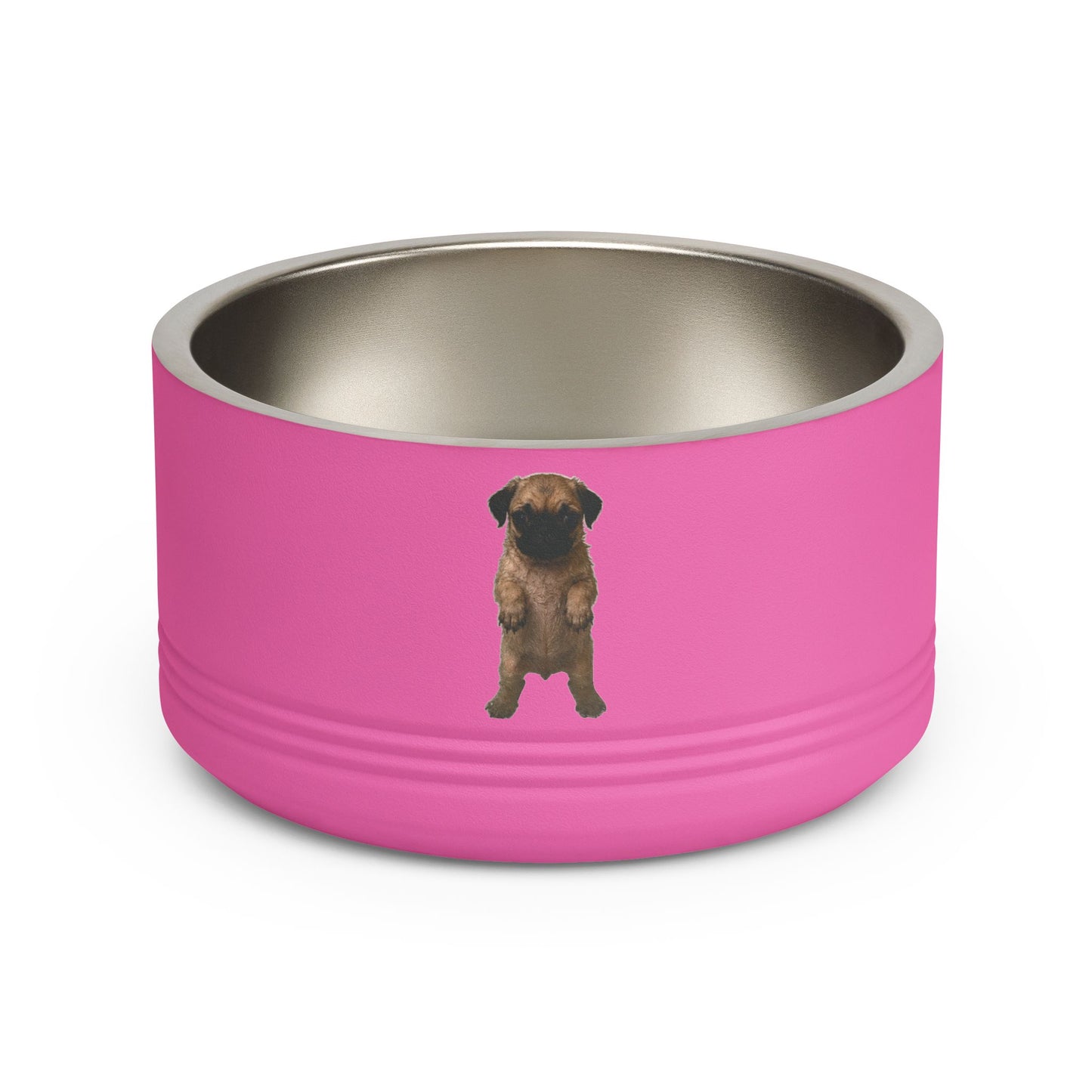 Pug Puppy   Stainless Steel  Pet Bowl  18oz
