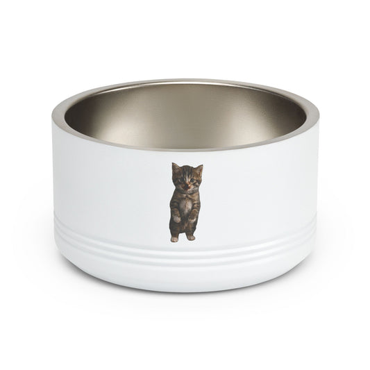 Cute Standing Kitten Stainless Steel Pet Bowl  18oz