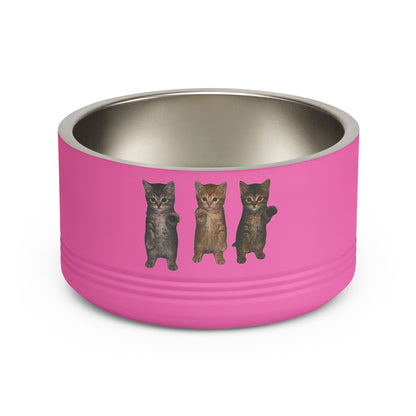 Cute Standing Trio Kittens Dancing Stainless Steel Pet Bowl  18 oz