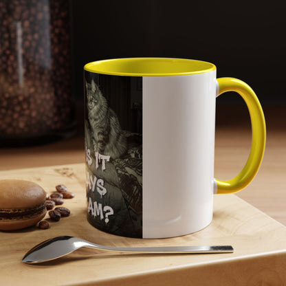 Why Is It Always at 2 AM? Cat Nighttime Humor Accent Coffee Mug