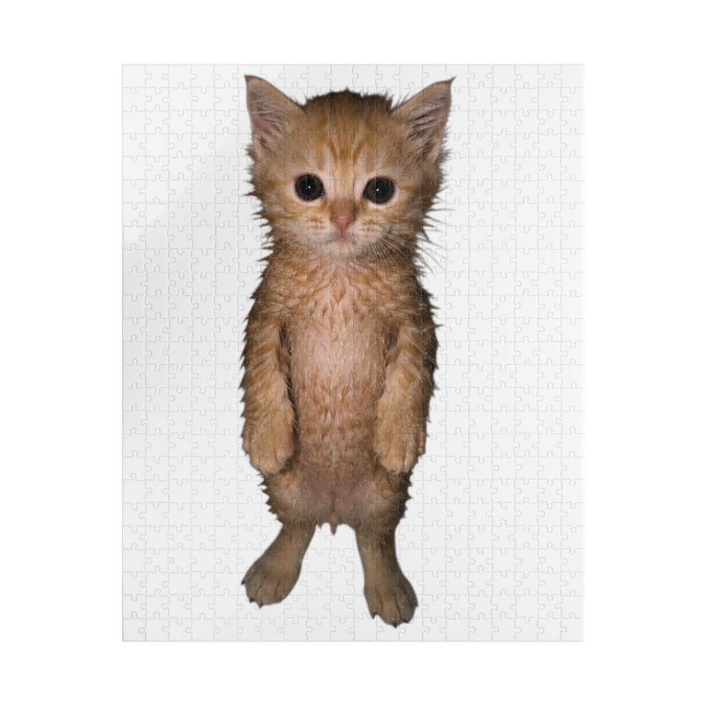 Cute Standing Kitten Puzzle — Cute Cat Jigsaw for Adults & Kids