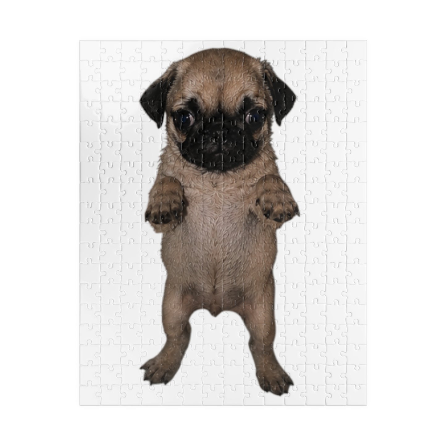 Cute Pug  Puppy Standing Jigsaw  Puzzle