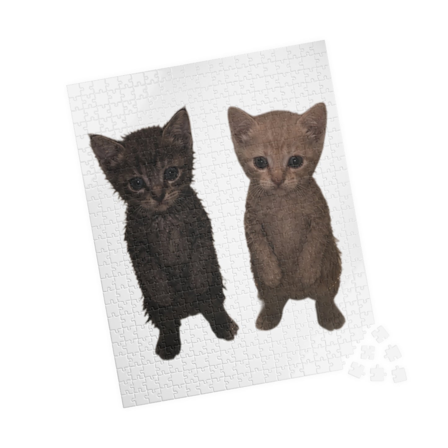 Cute Kittens Jigsaw Puzzle