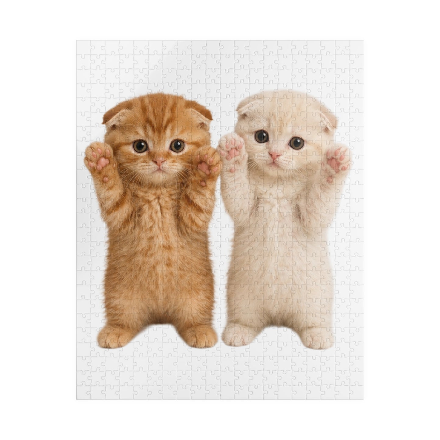 Cute Kittens Jigsaw Puzzle