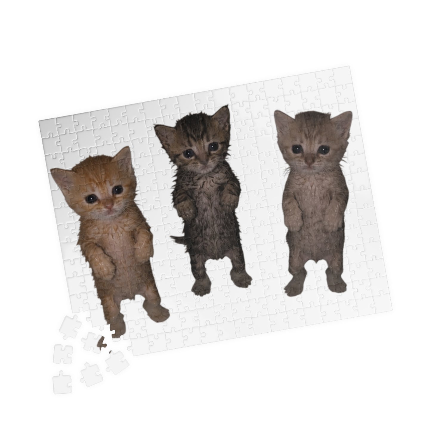 Cute Trio  Kittens Jigsaw Puzzle