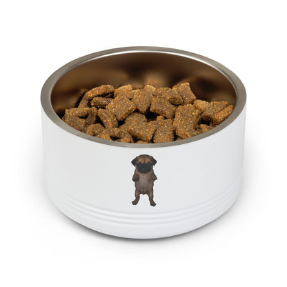 Cute Pug Puppy Stainless Pet Bowl  18oz