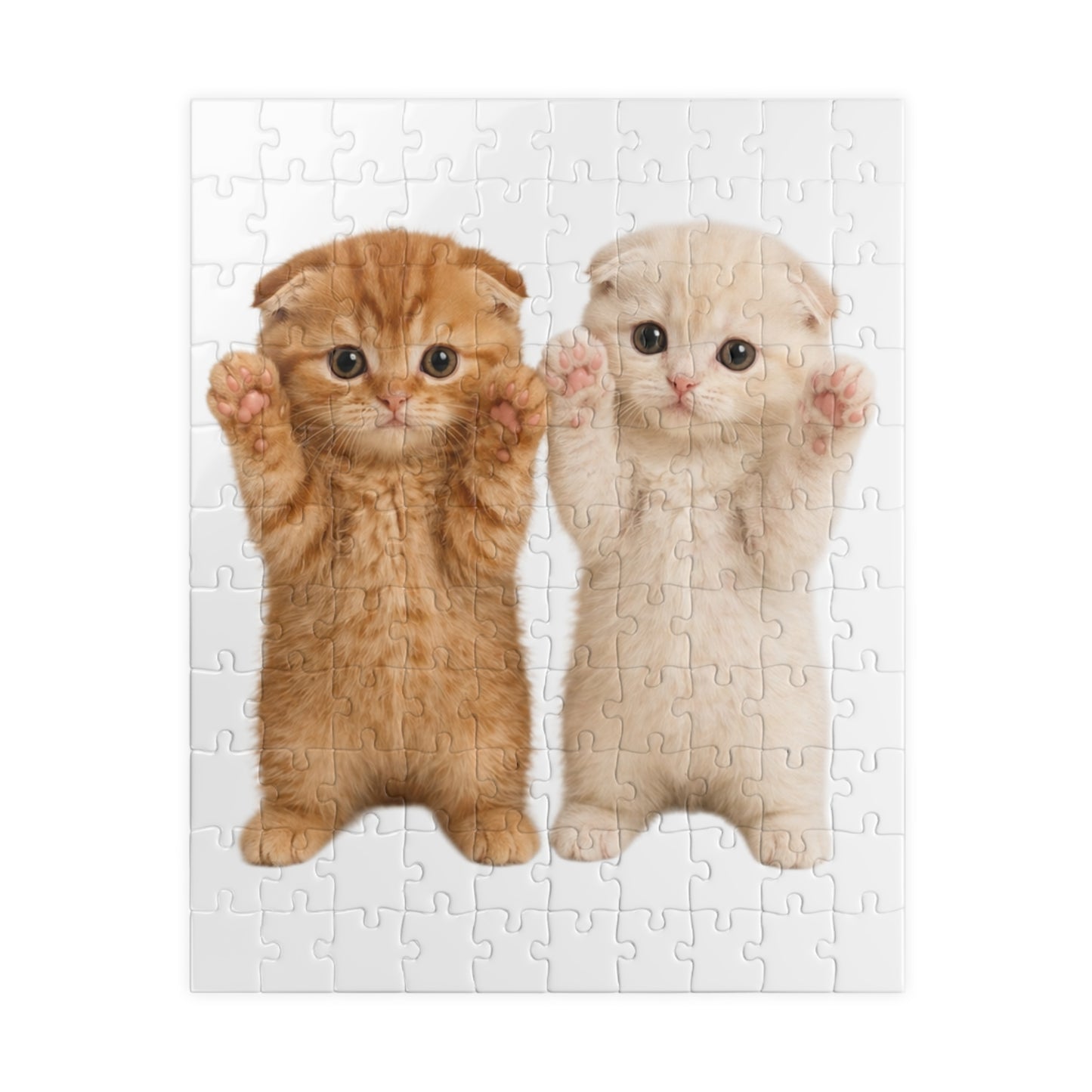 Cute Kittens Jigsaw Puzzle