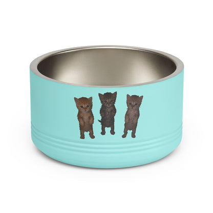 Cute Standing Kittens Trio Stainless Pet Bowl  18oz