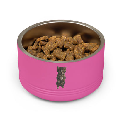 Cute Standing Kitten Stainless Steel Pet Bowl  18oz