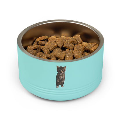 Cute Standing Kitten Stainless Steel Pet Bowl  18oz