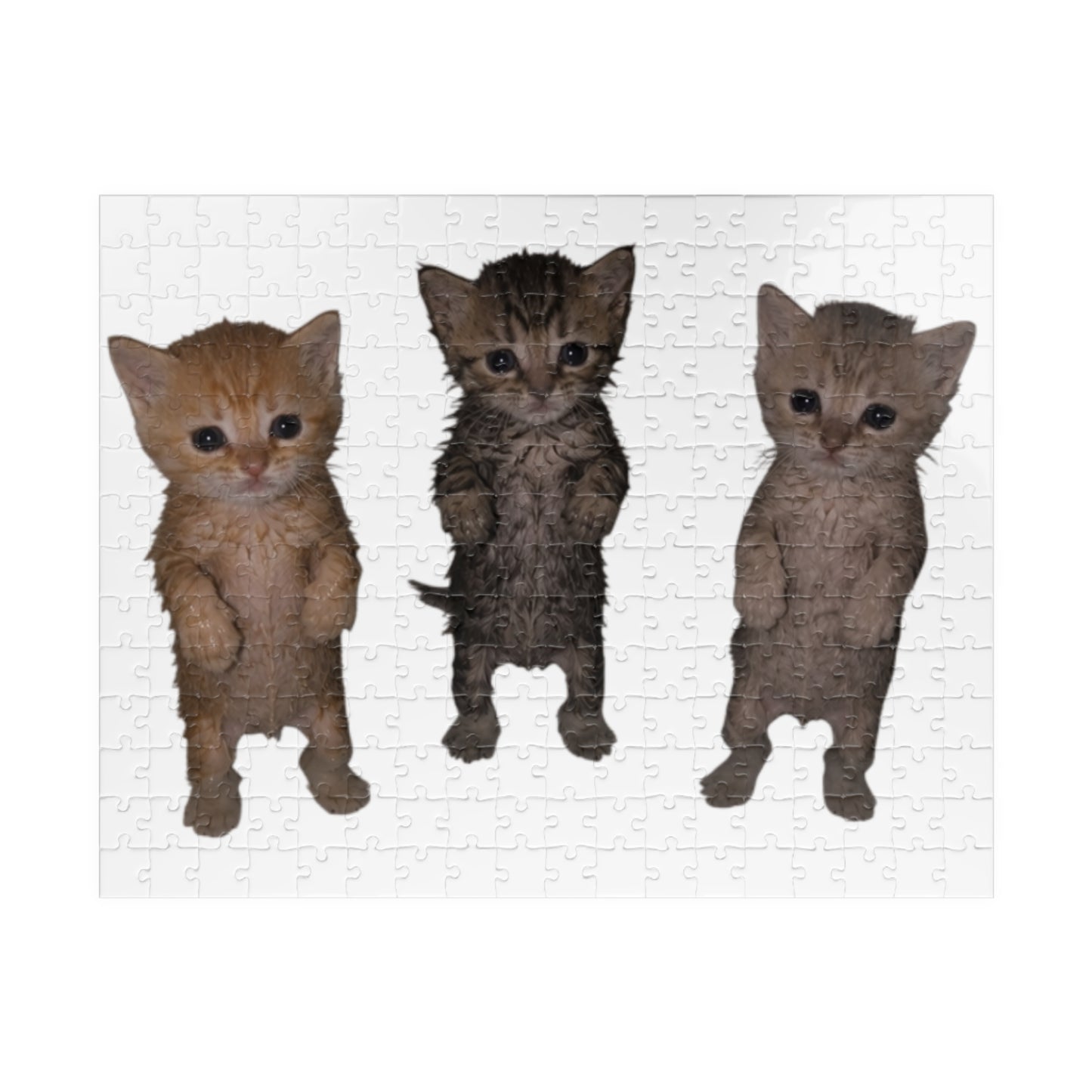 Cute Trio  Kittens Jigsaw Puzzle