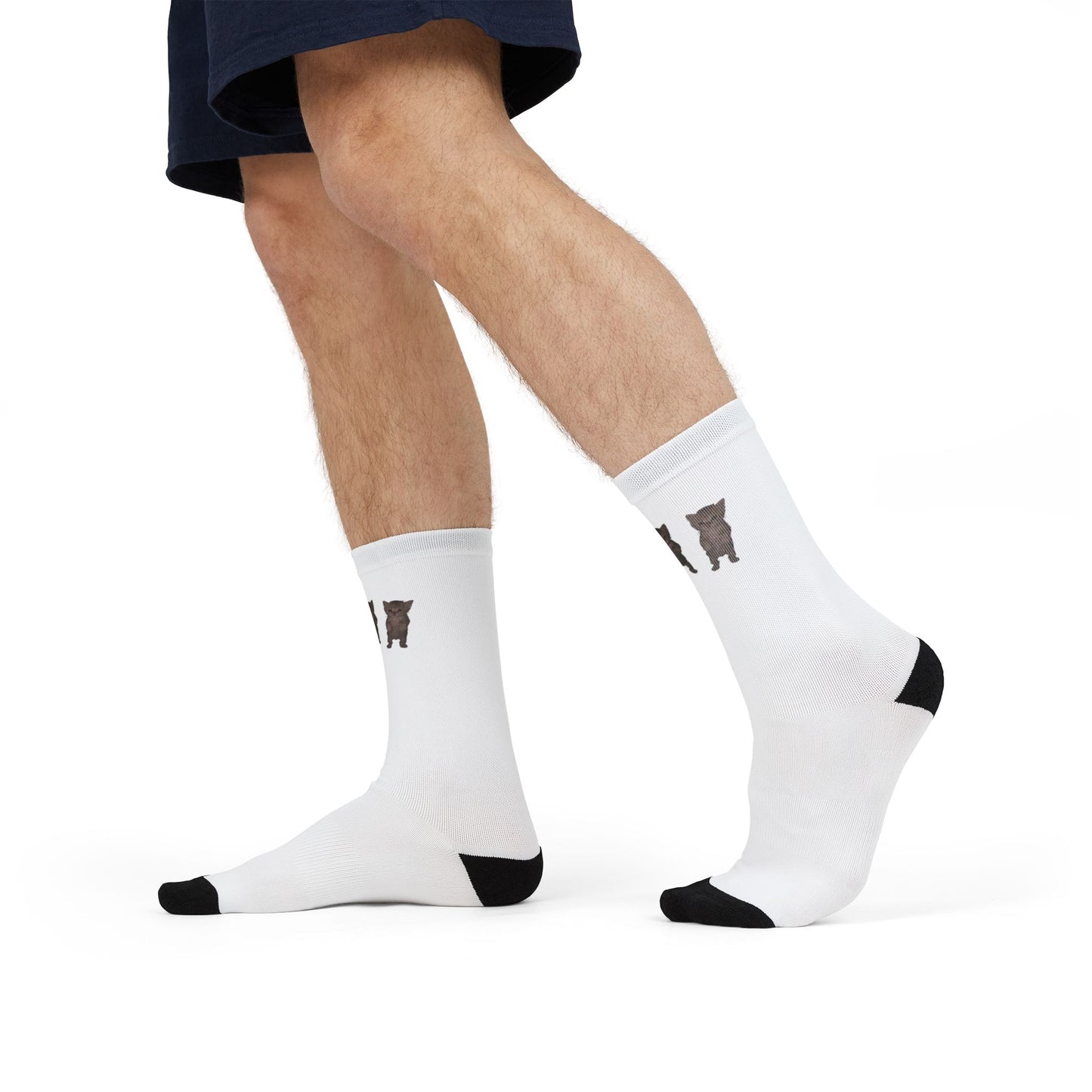Cute Standing Kittens Trio Sublimation Crew Socks