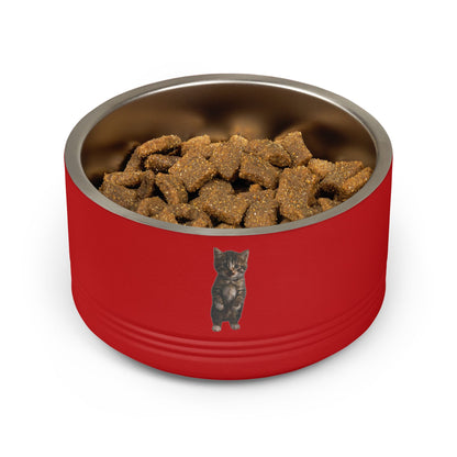 Cute Standing Kitten Stainless Steel Pet Bowl  18oz
