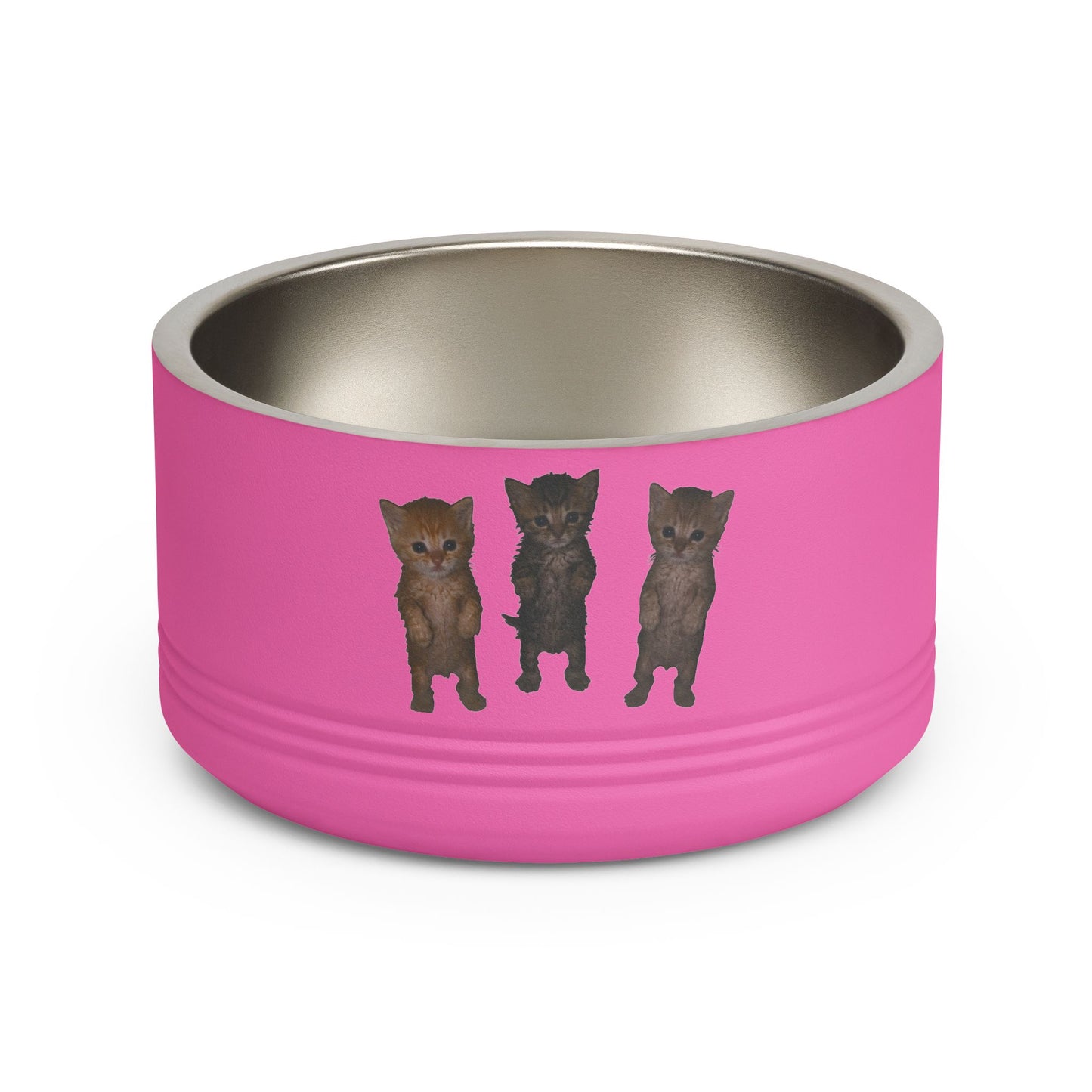 Cute Standing Kittens Trio Stainless Pet Bowl  18oz