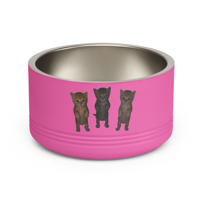 Cute Standing Kittens Trio Stainless Pet Bowl  18oz