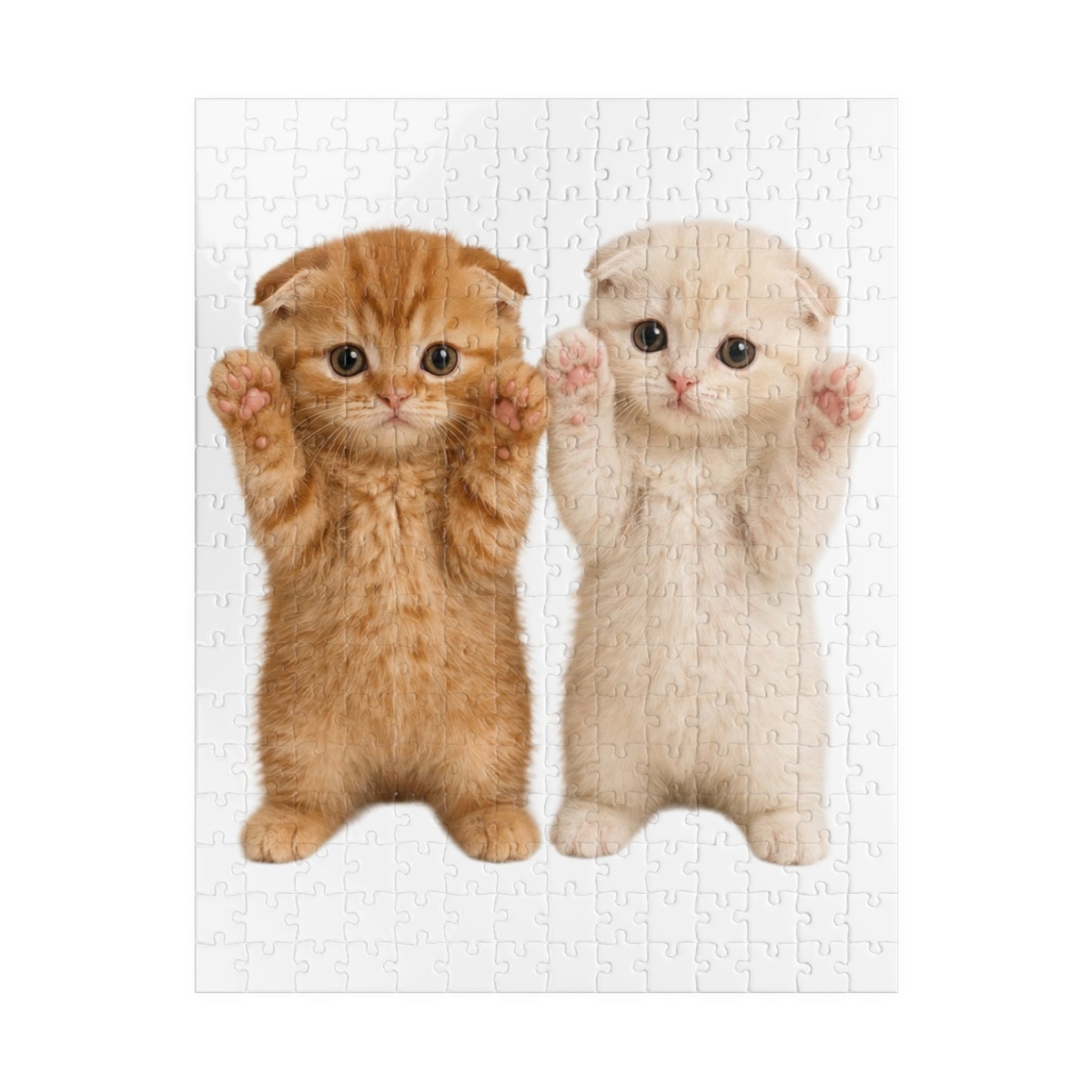 Cute Kittens Jigsaw Puzzle