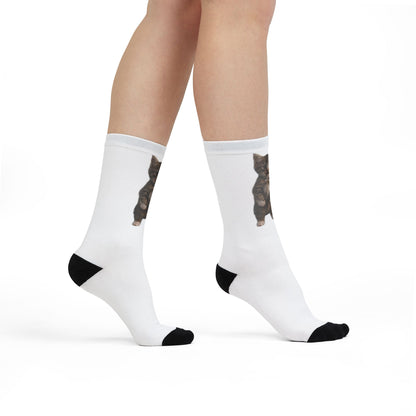 Cute Standing Kitten Sublimation Crew Socks