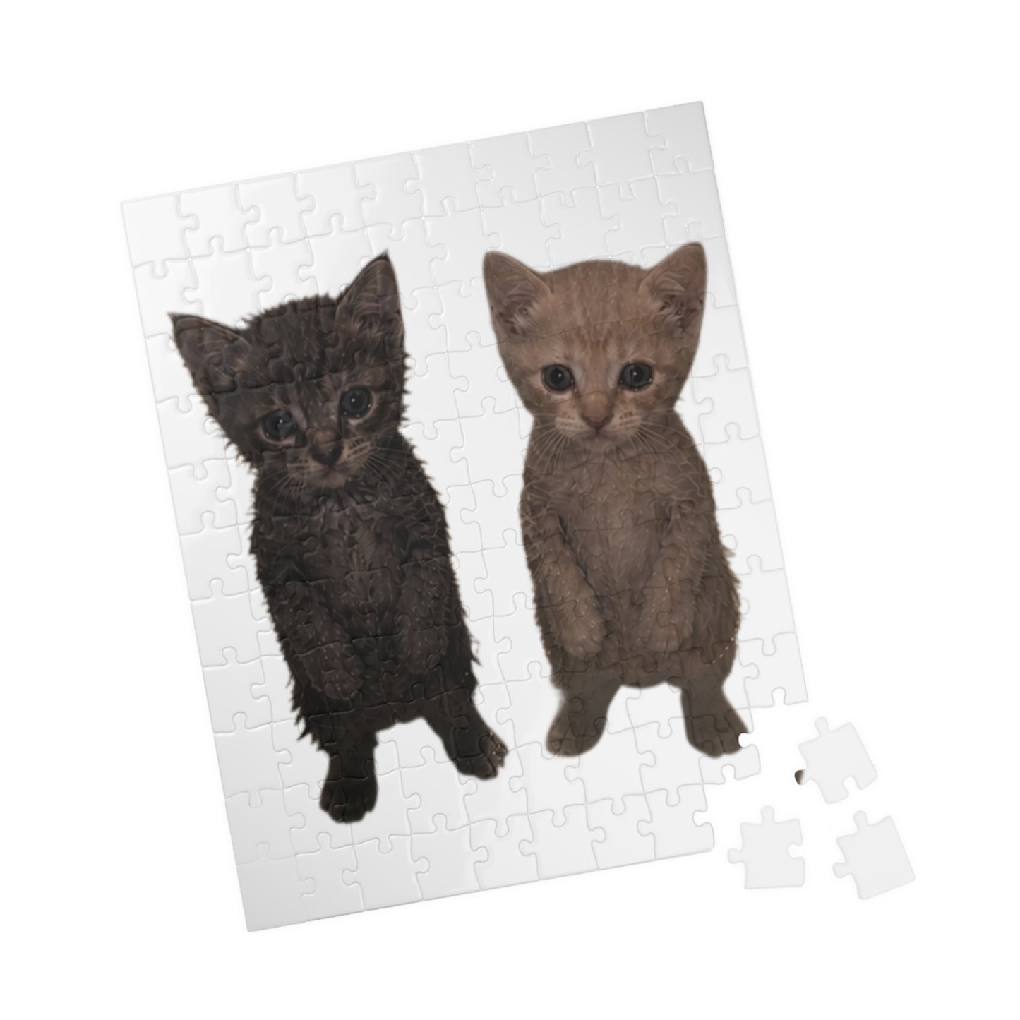 Cute Kittens Jigsaw Puzzle