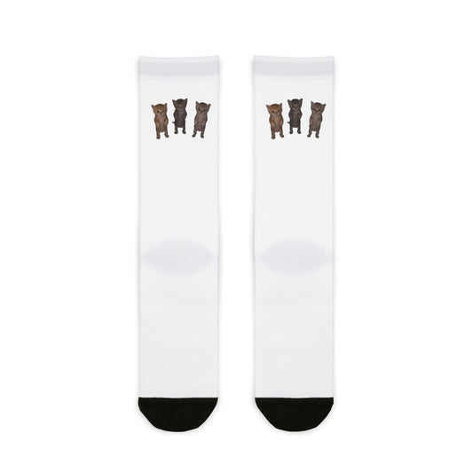 Cute Standing Kittens Trio Sublimation Crew Socks