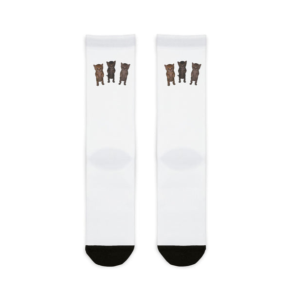 Cute Standing Kittens Trio Sublimation Crew Socks